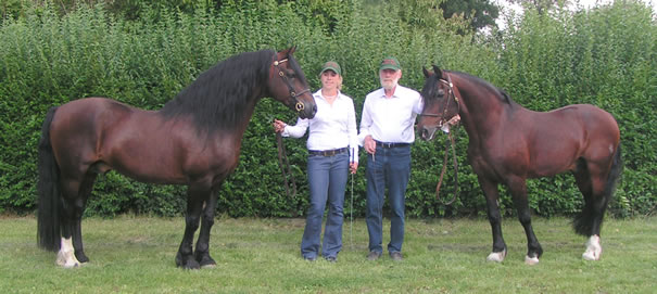 Bild1